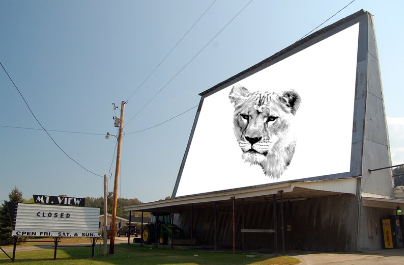 May include: A drive-in movie theater with a large white screen displaying a black and white image of a lion's head. The sign on the front of the building reads "MT. VIEW CLOSED OPEN FRI, SAT, & SUN."