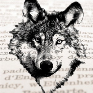 May include: A black and white photo of a wolf's head, with its eyes looking directly at the camera. The wolf's head is partially obscured by a page of text.