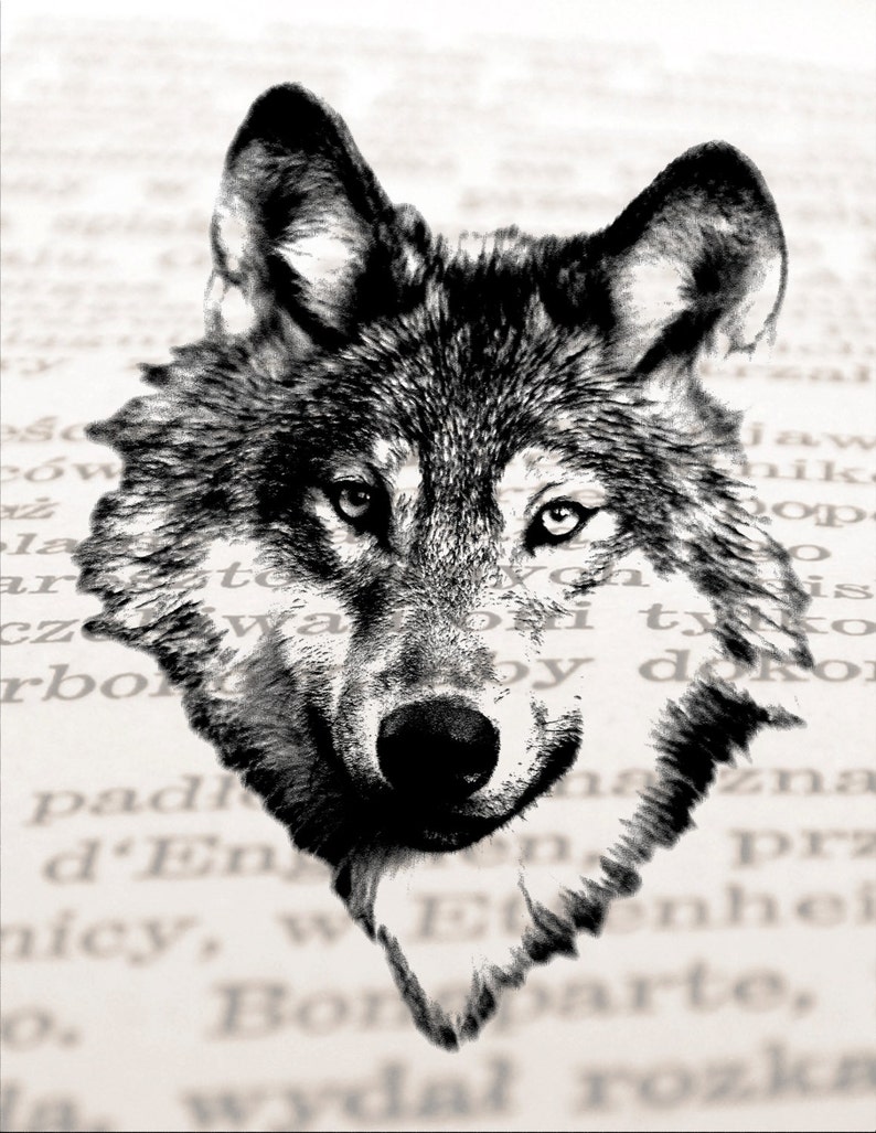 May include: A black and white photo of a wolf's head, with its eyes looking directly at the camera. The wolf's head is partially obscured by a page of text.