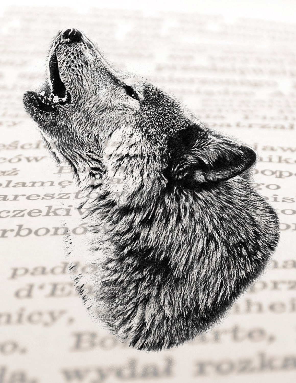 7549 Wolf Howling Drawing Images Stock Photos  Vectors  Shutterstock