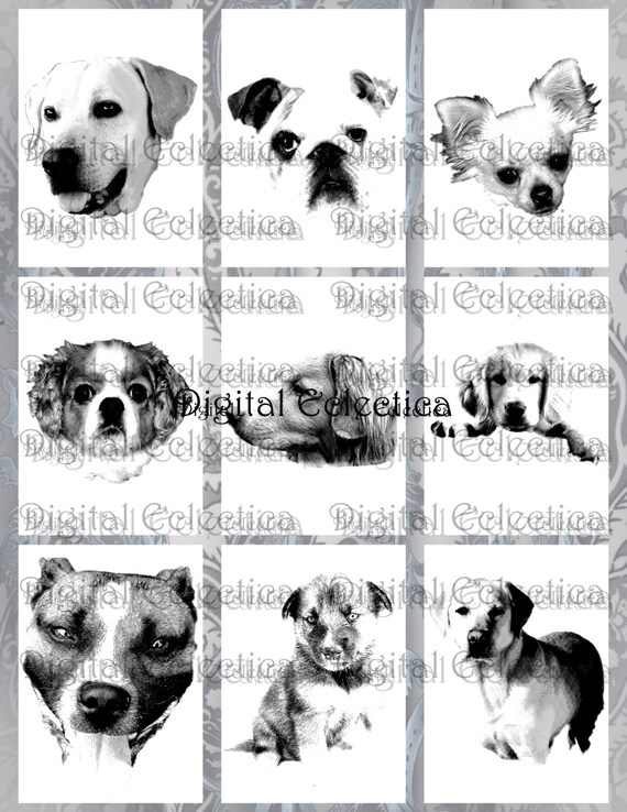 ATC. Dog Breeds Pets. Digital Collage Sheet. ACEO Greeting Card Postcard. 2.5x3.5 inch. High Resolution 300 DPI. Number 0050.