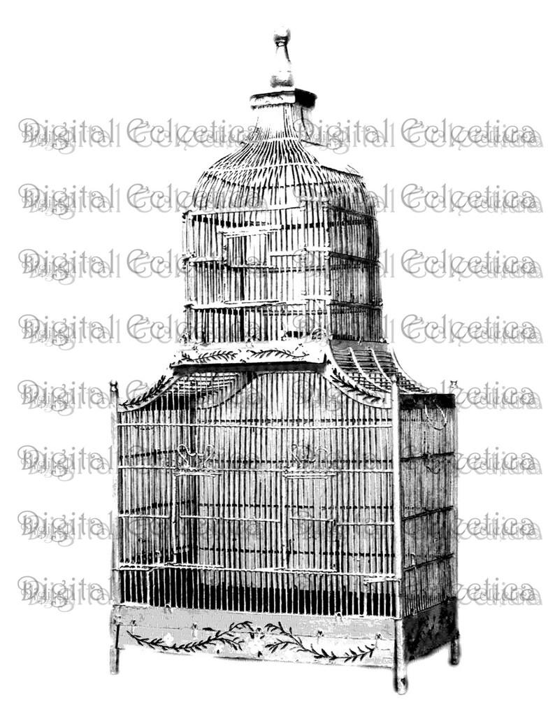 Antique Birdcage Engraving. Birdcage PNG. Birdcage Prints. Birdcage Images. Birdcage Pictures. Birdcage Clipart. Vintage Birdcage. No. 0067. image 1