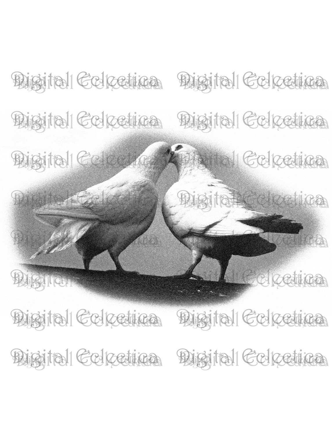 Wedding Doves Transparent Image. Wedding Doves PNG. Wedding | Etsy