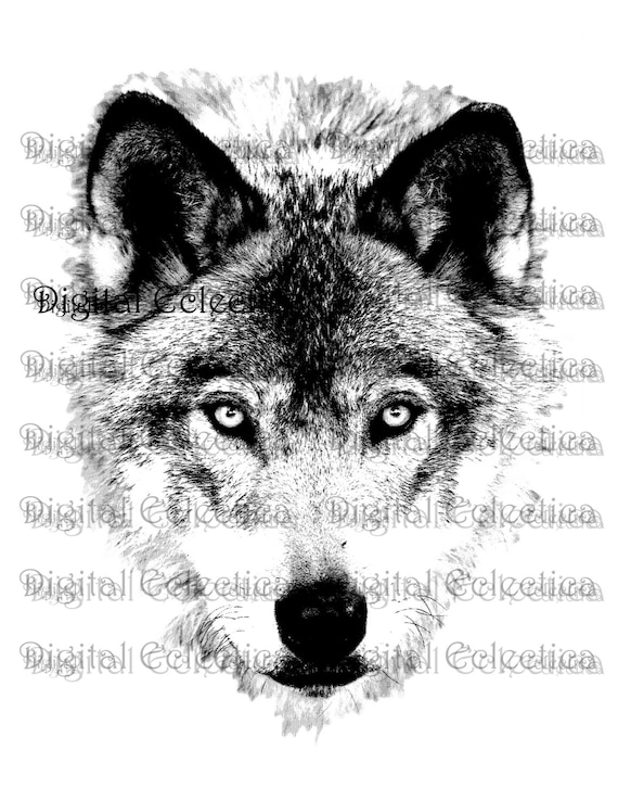Wolf Face Wolf Png Animal Png Wolf Prints Wolf Image Etsy