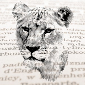 May include: A black and white pencil drawing of a lion's head. The lion is looking directly at the viewer with a serious expression. The drawing is done in a realistic style and captures the animal's powerful presence.