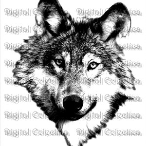 May include: Black and white illustration of a wolf's head. The wolf is looking directly at the viewer with its mouth closed. The wolf's fur is detailed and textured.