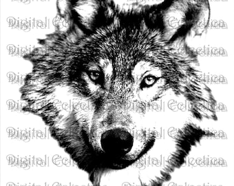Wolf Face. Wolf PNG. Animal PNG. Wolf Prints. Wolf Images. Wolf Picture. Wolf Art.Wolf Clipart. Wolf Drawings. Wolf Illustrations. No. 0055.