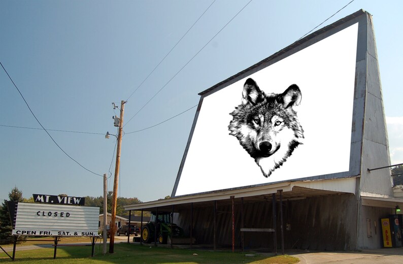 May include: A drive-in movie theater with a large billboard featuring a black and white image of a wolf's head. The sign on the building reads "Mt. View CLOSED OPEN FRI, SAT, & SUN."