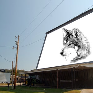 May include: A black and white drawing of a wolf's head is displayed on a large, white movie screen. The screen is attached to a building with a sign that reads "MT. VIEW CLOSED OPEN FRI, SAT, & SUN."