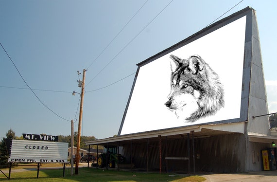 狼の絵 狼の顔。狼の PNG。動物の PNG。狼のプリント。狼の画像。狼の絵