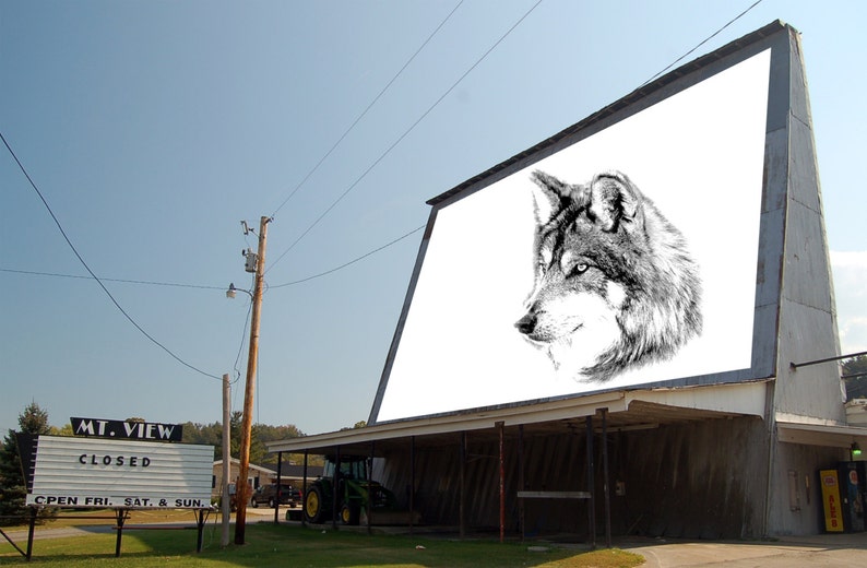 May include: A black and white drawing of a wolf's head is displayed on a large, white movie screen. The screen is attached to a building with a sign that reads "MT. VIEW CLOSED OPEN FRI, SAT, & SUN."
