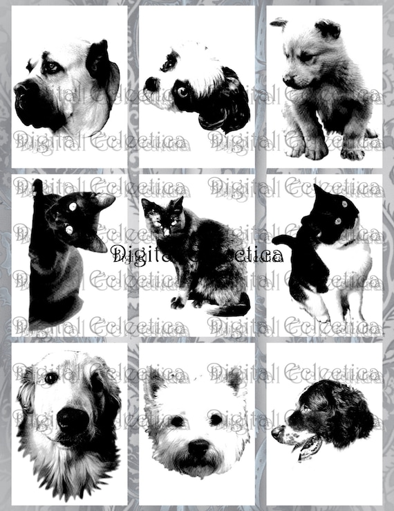 ATC. Dogs and Cats Pets. Digital Collage Sheet. ACEO Greeting Card Postcard. 2.5x3.5 inch. High Resolution 300 DPI. Number 0051.