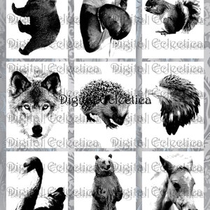 ATC. Animaux de la faune. Feuille de collage numérique. Carte postale de carte de vœux ACEO. 2,5x3,5 pouces. Haute résolution 300 DPI. Numéro 0052.