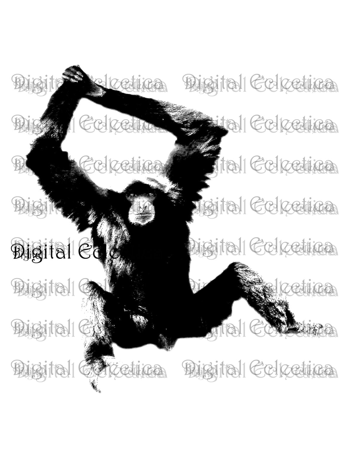 Boule de magnésie rechargeable Monkey Chalk Ball