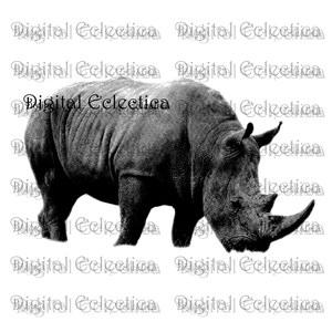 Rhinoceros Engraving. Rhino PNG. Rhinoceros Prints. Rhinoceros Images. Rhino Pictures. Rhinoceros Art Clipart. Rhino Drawings. No. 0039.