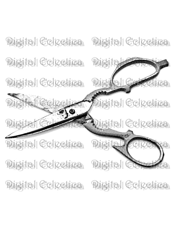 Antique Scissors Transparent Image. Scissors PNG. Scissors Clipart.  Scissors Images. Transparent Scissors. Scrapbook Scissors. No 0148 