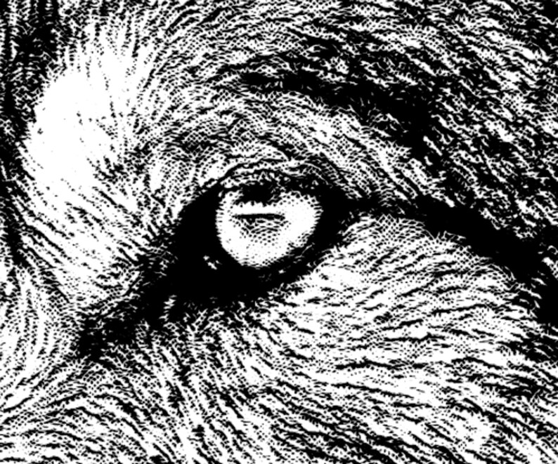 May include: Close-up of a wolf's eye, rendered in black and white. The eye is open and staring directly at the viewer. The fur around the eye is textured and detailed.