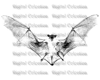 Vampire Bat Halloween. Vampire PNG. Bat PNG. Halloween PNG. Vampire Bat Print. Vampire Bat Image. Vampire Bat Picture. Bat Clipart No. 0081