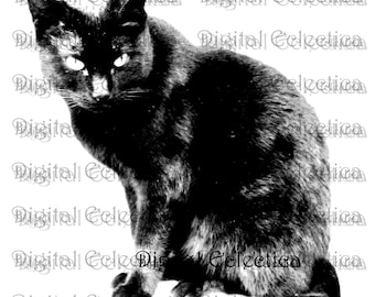 Black Cat. Black Cat PNG. Animal PNG. Black Cat Prints. Black Cat Images. Black Cat Pictures. Black Cat Art Clipart Cat Drawings. No. 0017.