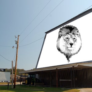 May include: A black and white image of a lion's face on a large white movie screen. The screen is on the side of a building with a sign that reads "MT. VIEW CLOSED OPEN FRI, SAT, & SUN."