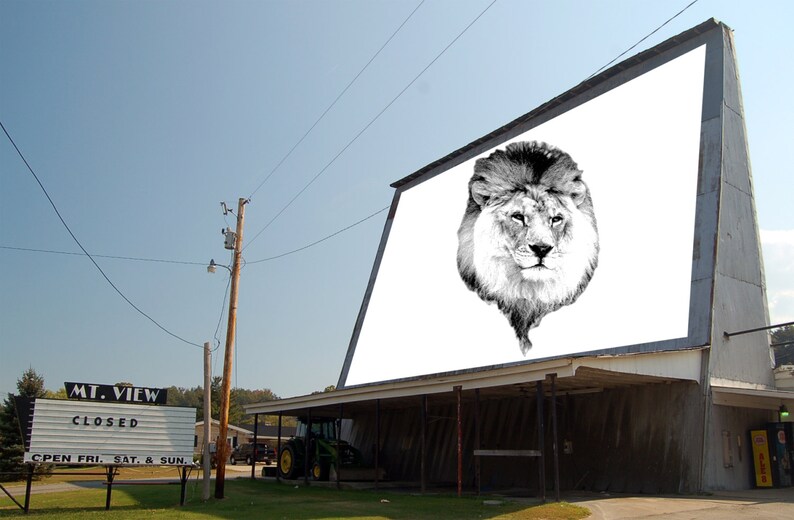 May include: A black and white image of a lion's face on a large white movie screen. The screen is on the side of a building with a sign that reads "MT. VIEW CLOSED OPEN FRI, SAT, & SUN."