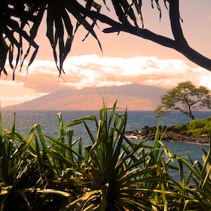 May include: A scenic landscape featuring a mountain range, ocean, and lush greenery. The image is framed by palm fronds and tree branches, with a vibrant sky. The water is a deep blue, and the overall scene evokes a sense of tranquility.