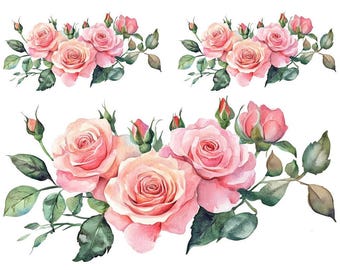 May include: A watercolour illustration of pink roses with green leaves and buds. The roses are in full bloom, with soft pink petals and a delicate, realistic style. The image is set against a white background, highlighting the floral arrangement.