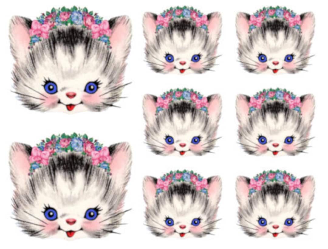 kittenページ il_1080xN.1842724621_pxqq.jpg