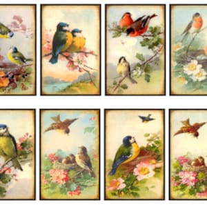 8 Folha de colagem de pássaros vitorianos grunge vintage ATC ACEO / Folha de colagem digital de pássaros vintage Tags Imagens - Coisas efêmeras para impressão