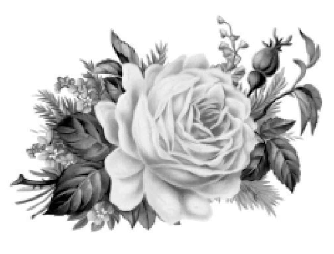 Vintage Image Black White Cabbage Rose Furniture Transfers Decoupage