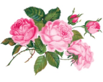 roseページ Vintage Image Victorian Shabby Pink Roses Transfers