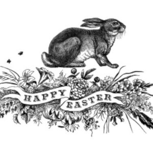 May include: Black and white illustration of a rabbit sitting on a bed of flowers with a banner that reads "Happy Easter".
