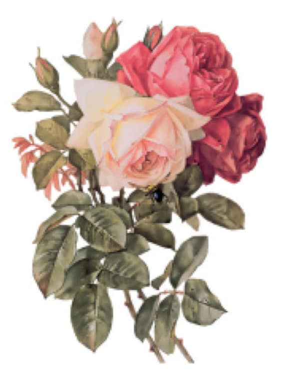 Vintage Image Shabby Roses Furniture Transfers Decoupage Waterslide Decals FL430