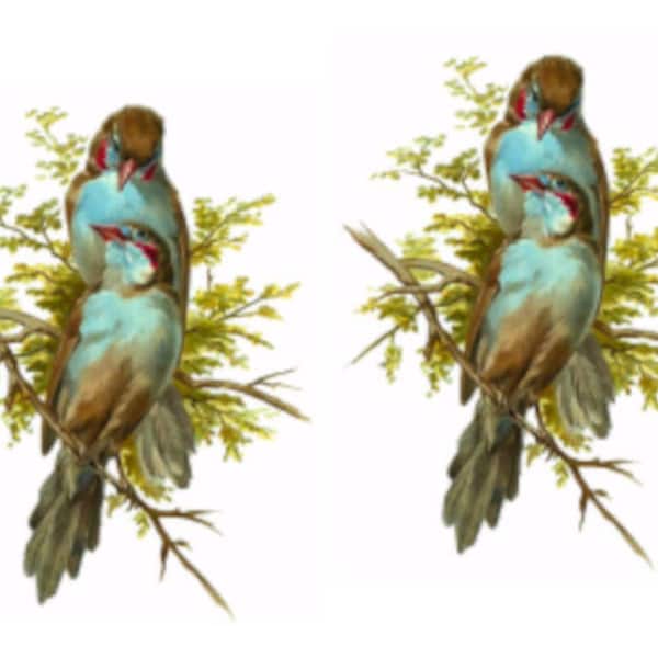 Large Furniture Transfers Etsy