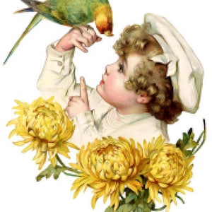 Vintage Image Victorian Little Boy Parrot Chrysanthemum Transfers Waterslide Decals KID680