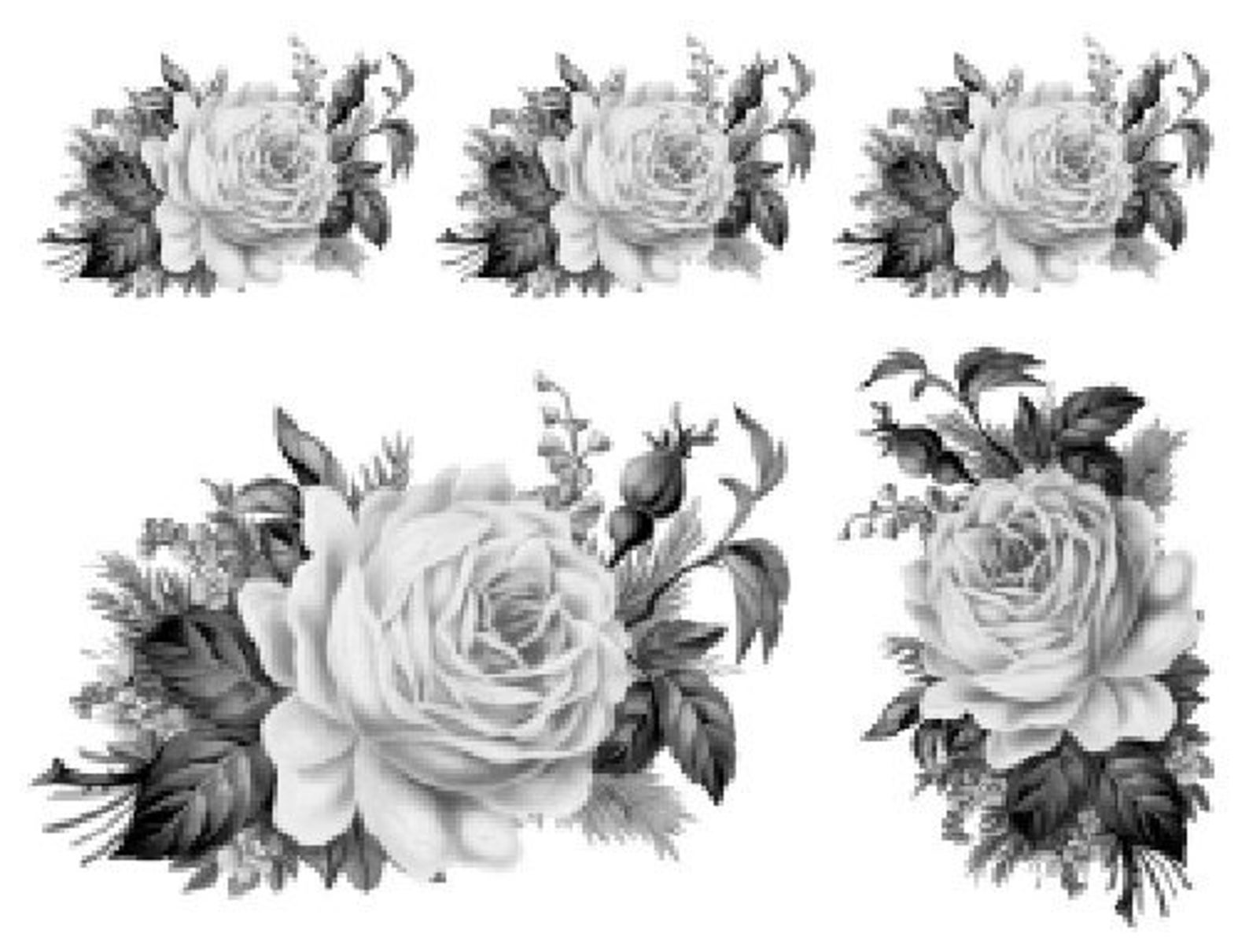 Vintage Image Black White Cabbage Rose Furniture Transfers Decoupage ...