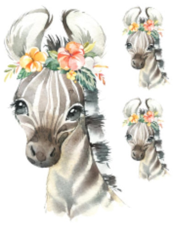 Watercolor Handpainted Baby Zebra Nursery African Animals Etsy