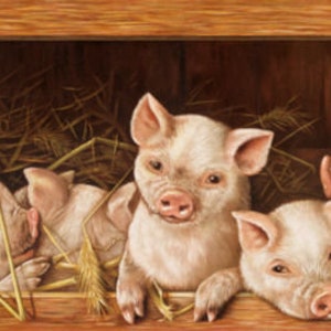May include: Four pink piglets are huddled together in a wooden box filled with straw. The piglets are looking out of the box with curious expressions.