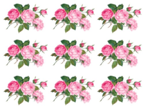 roseページ PPG_BRANDSWATCH_LIGHTHEARTED_R