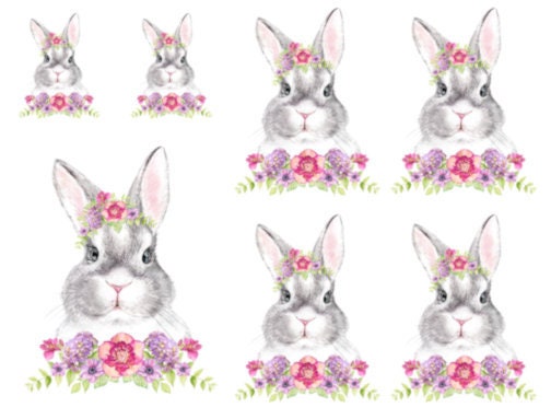 Watercolor Peek A Boo Baby Bunny Rabbit Shabby Flowers Transfers