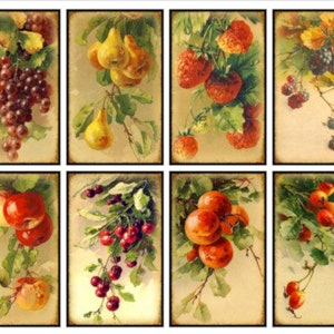 8 Vintage Grunge Victorian Vintage Fruit Collage Sheet ATC ACEO / Vintage Fruit Digital Collage Sheet Etiquetas Imágenes—Printable Ephemera