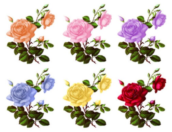 Vintage Image Shabby Colored Roses Large Decoupage Labels Waterslide Decal FL526