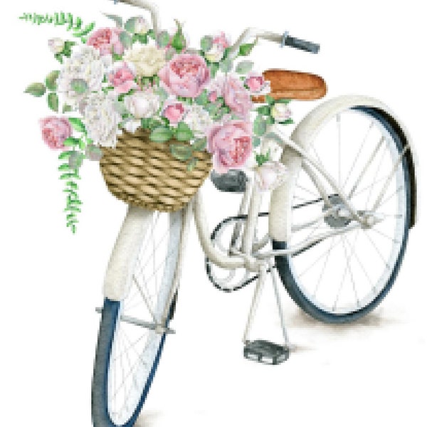 Shabby Roses Watercolor Bicycle Furniture Transfers Waterslide Decals MIS678