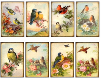 Vintage Image Victorian Shabby Birds Labels Tags Furniture Transfers Waterslide Decals~ BIR836