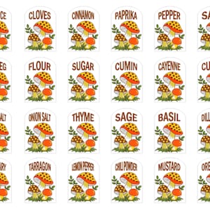 Vintage Image 1970&#39;s Merry Mushroom Spice Tipp City Anchor Waterslide Decals KI447