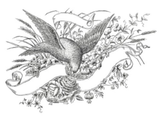 Vintage Image French Bird Raven Crow Night Poem Furniture Transfer Decals BIR855