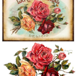 Vintage Shabby Grunge Cigar Label Triple Red Pink Roses Furniture Transfers Waterslide Decals~FL408