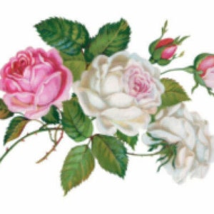 Vintage Image Victorian Shabby Pink White Roses Transfers Waterslide Decals FL349