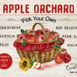 Vintage Grunge Holz Hintergrund Apfel Obstgarten, Apfelkorb, Country Äpfel, Obst, Bauernhaus Dekor, Kunst Schild und Druck Digital Download