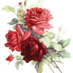 Vintage Image Victorian Shabby Red Cabbage Roses Furniture Transfer Waterslide Decals FL497